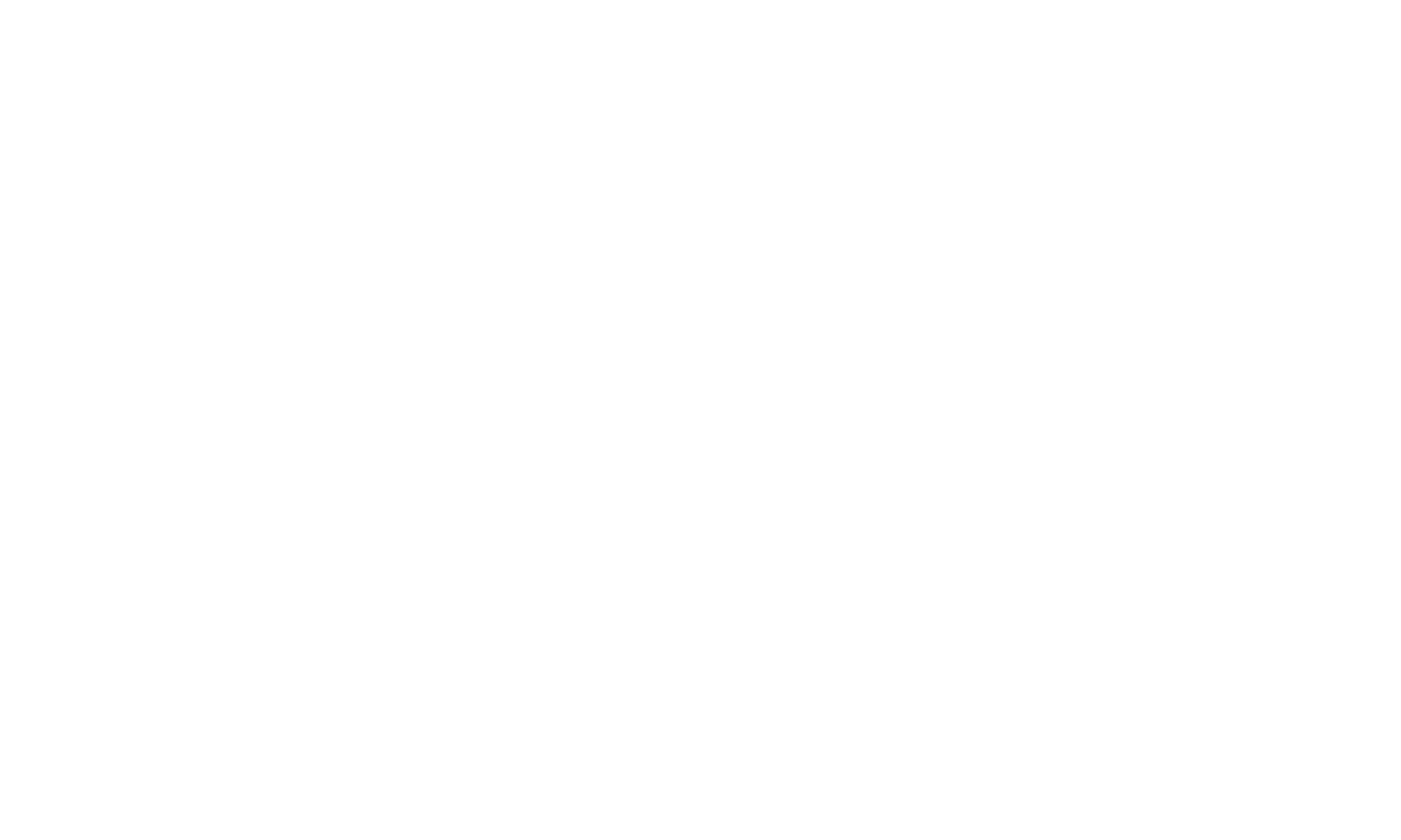 Logo oficial Primera División de El Salvador